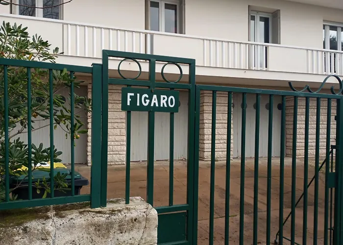 Apartment Grand 3 Vue Pontaillac *